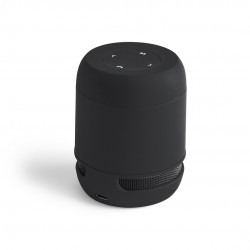 Altavoz Braiss